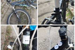 InCollage_20220428_171940208