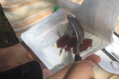 355294677_784203339835964_4223585828307829542_n