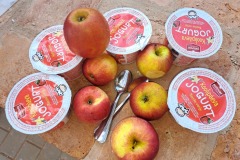 355494556_784202743169357_860034058846471601_n