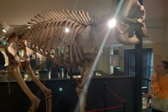 20220521_185556