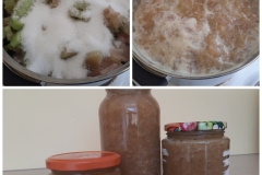 InCollage_20220527_150929387