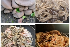 InCollage_20221004_213816273